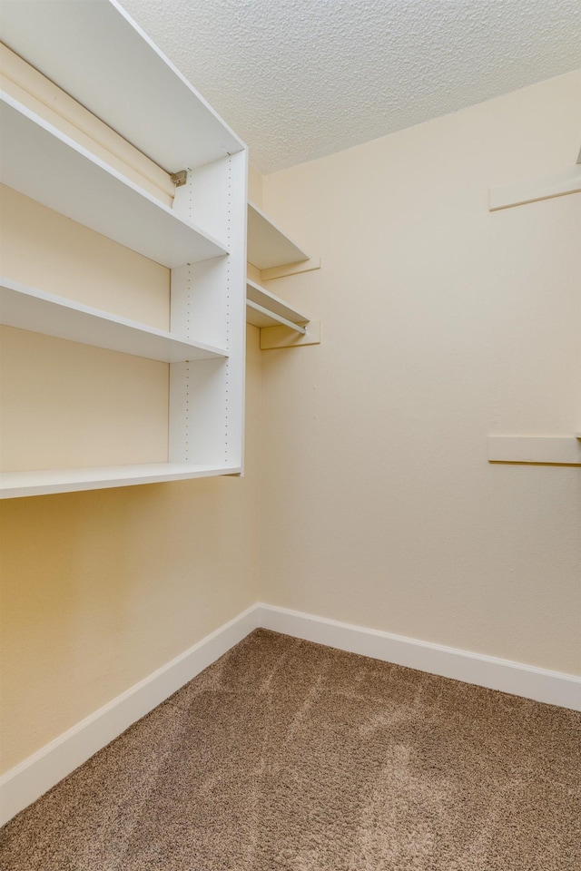 523 S Hatch St, Spokane, WA 99202 - walk in closet with carpet