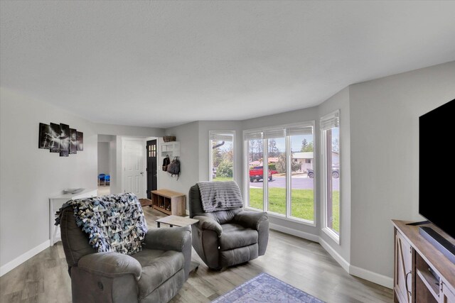8428 N Susan Ct, Spokane, WA 99208 - living area featuring baseboards and light wood finished floors