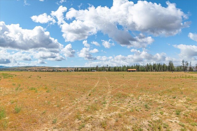 39754 Katy Ln N, Davenport, WA 99122 - photo 13