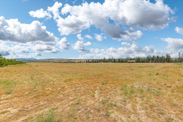 39754 Katy Ln N, Davenport, WA 99122 - photo 8