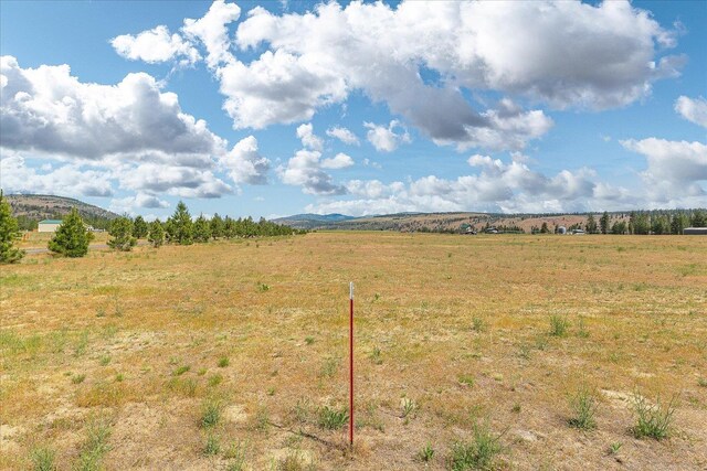 39754 Katy Ln N, Davenport, WA 99122 - photo 9