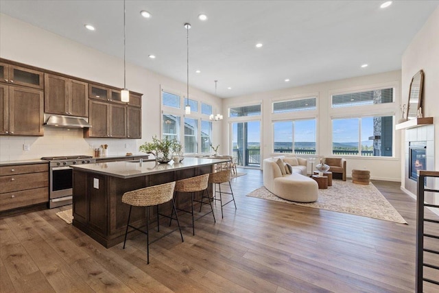 4756 W Lex Ave, Spokane, WA 99208 - kitchen with stainless steel gas range, under cabinet range hood, a kitchen bar, dark wood-style floors, and a center island with sink