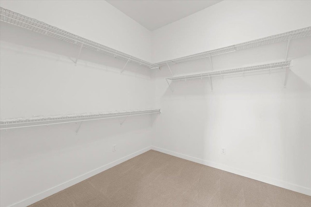 4756 W Lex Ave, Spokane, WA 99208 - walk in closet featuring carpet flooring