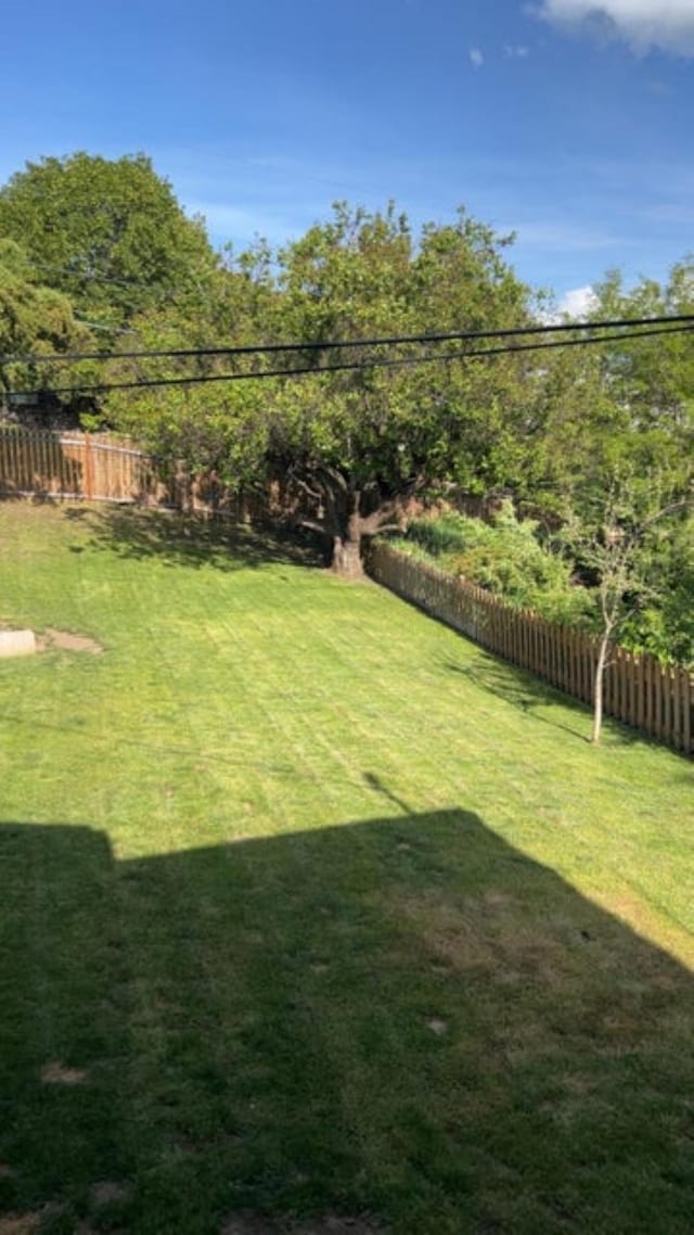 980 N Elm St, Colville, WA 99114 - view of yard