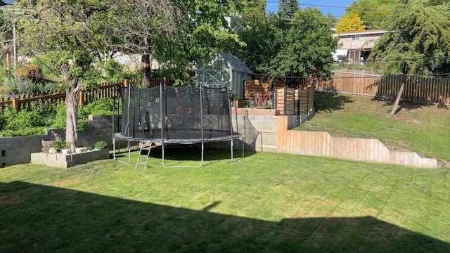 980 N Elm St, Colville, WA 99114 - view of yard with a trampoline
