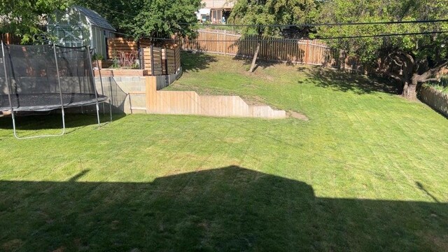 980 N Elm St, Colville, WA 99114 - view of yard featuring a trampoline