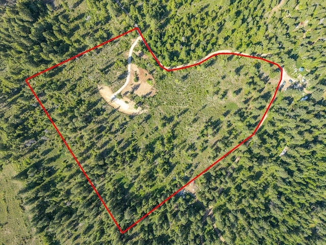 UNKNOWNADDRESS E Lodgepole Ln, Chattaroy, WA 99003 - photo 1