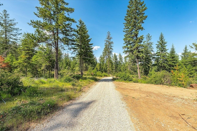 UNKNOWNADDRESS E Lodgepole Ln, Chattaroy, WA 99003 - photo 13