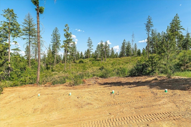 UNKNOWNADDRESS E Lodgepole Ln, Chattaroy, WA 99003 - photo 14