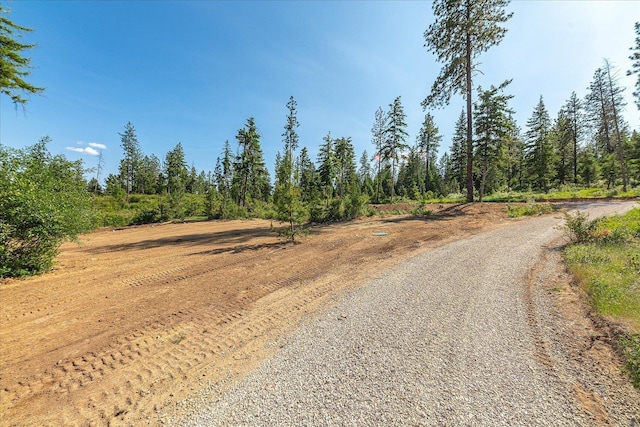 UNKNOWNADDRESS E Lodgepole Ln, Chattaroy, WA 99003 - photo 18