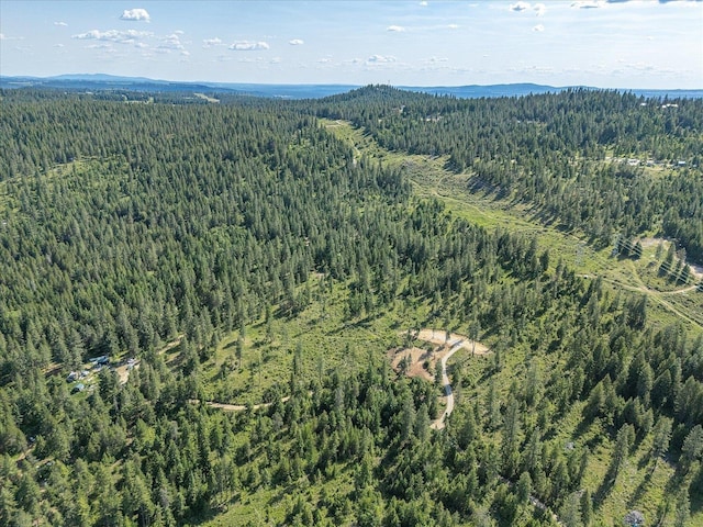 UNKNOWNADDRESS E Lodgepole Ln, Chattaroy, WA 99003