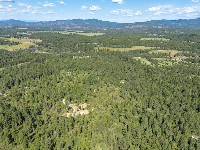 UNKNOWNADDRESS E Lodgepole Ln, Chattaroy, WA 99003 - photo 21