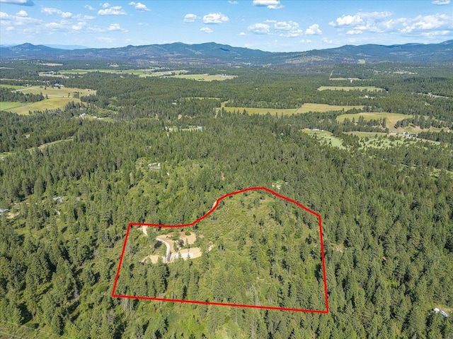 UNKNOWNADDRESS E Lodgepole Ln, Chattaroy, WA 99003 - photo 22