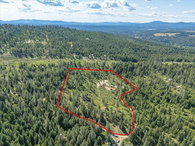 UNKNOWNADDRESS E Lodgepole Ln, Chattaroy, WA 99003 - photo 27
