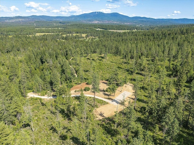 UNKNOWNADDRESS E Lodgepole Ln, Chattaroy, WA 99003 - photo 28