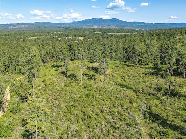 UNKNOWNADDRESS E Lodgepole Ln, Chattaroy, WA 99003 - photo 30