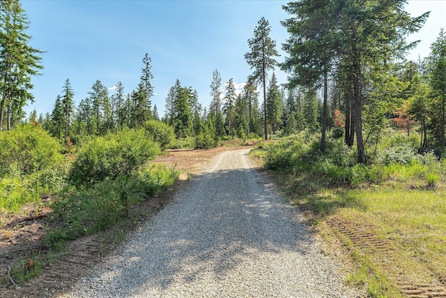 UNKNOWNADDRESS E Lodgepole Ln, Chattaroy, WA 99003