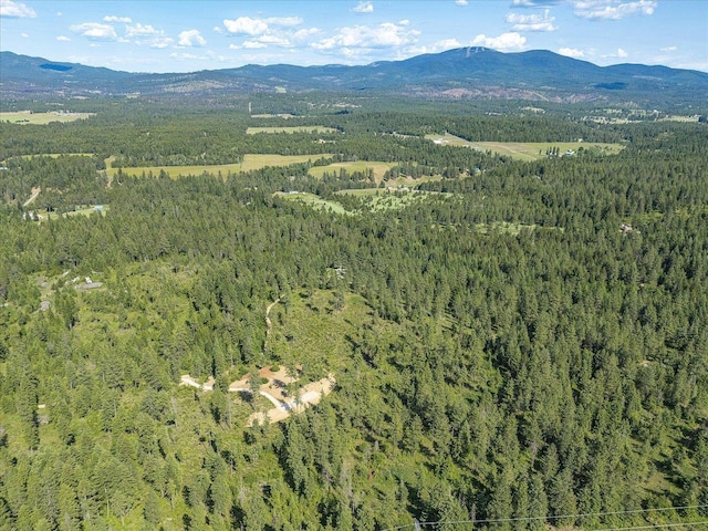 UNKNOWNADDRESS E Lodgepole Ln, Chattaroy, WA 99003