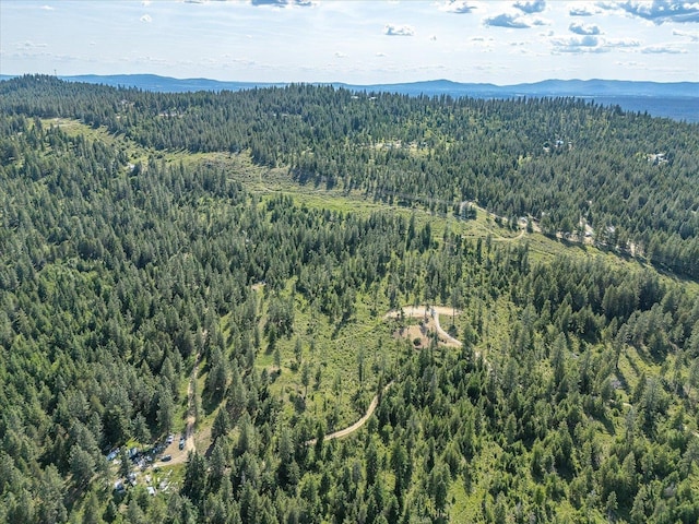 UNKNOWNADDRESS E Lodgepole Ln, Chattaroy, WA 99003 - photo 10