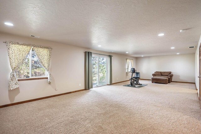 1811 S Canyon Woods Ln, Spokane, WA 99224 - workout room featuring carpet, recessed lighting, baseboards, a textured ceiling, and a wood stove
