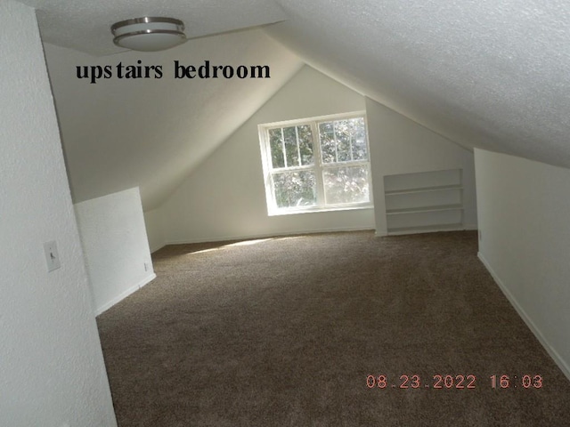 917 E Walton Ave, Spokane, WA 99207 - additional living space featuring carpet flooring, vaulted ceiling, and a textured ceiling