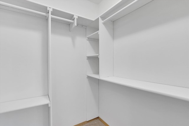 1002 N Oasis Ave, Deer Park, WA 99006 - view of walk in closet