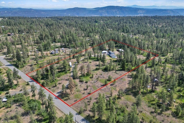 12510 N Craig Rd, Nine Mile Falls, WA 99026 - aerial view of property and surrounding area featuring a forest, property boundaries highlighted, and mountains