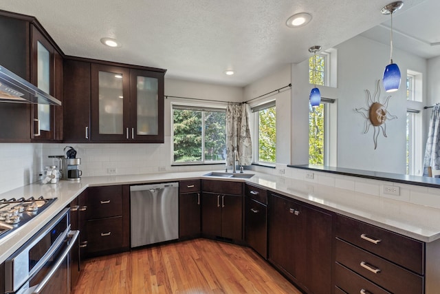 526 W Willapa Ct, Spokane, WA 99224 - kitchen featuring stainless steel appliances, a sink, wall chimney exhaust hood, light wood-style floors, and dark brown cabinetry