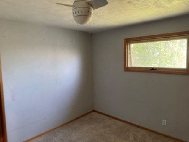 314 Marshall St, Davenport, WA 99122 - photo 16