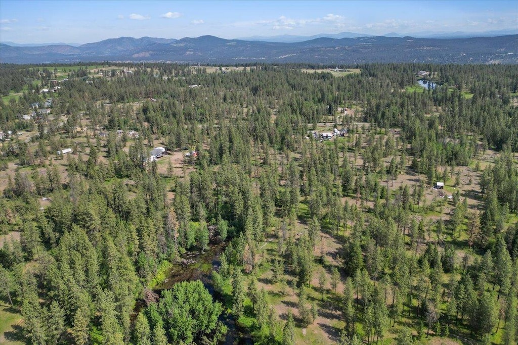 13711 W Farwell Rd, Nine Mile Falls, WA 99026
