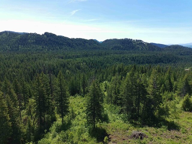 1261 Outback Ln, Usk, WA 99180 - photo 22