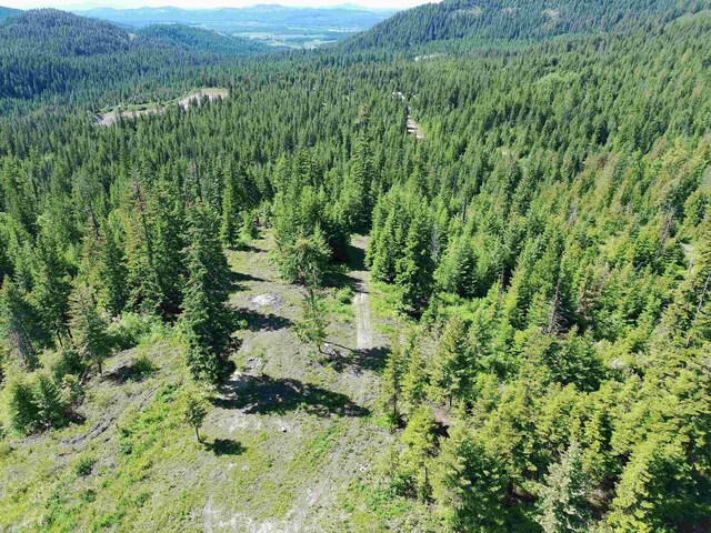 1261 Outback Ln, Usk, WA 99180 - photo 23