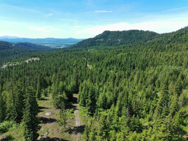 1261 Outback Ln, Usk, WA 99180 - photo 32