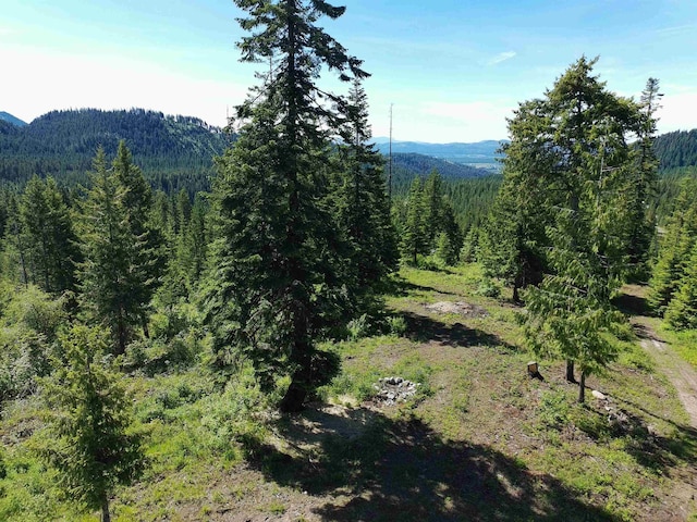 1261 Outback Ln, Usk, WA 99180 - view of mountain background with a heavily wooded area