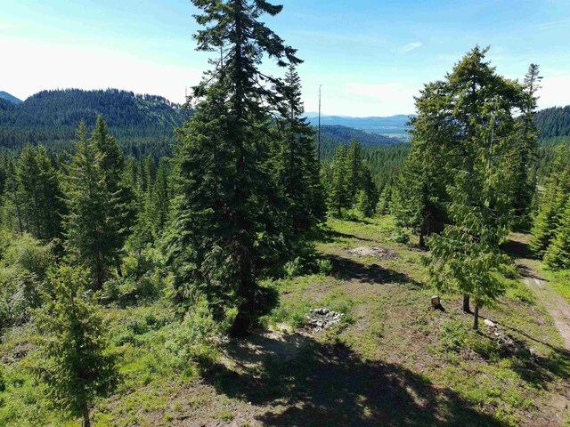 1261 Outback Ln, Usk, WA 99180 - photo 34
