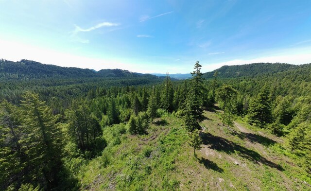 1261 Outback Ln, Usk, WA 99180 - photo 35