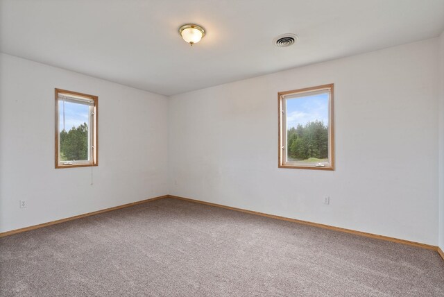 609 E Wild Rose Rd, Colbert, WA 99005 - empty room with carpet floors and baseboards