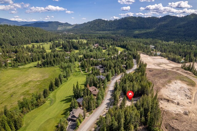60 Suncrest Ln, Priest Lake, ID 83856 - photo 1