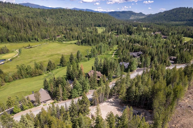 60 Suncrest Ln, Priest Lake, ID 83856 - photo 18