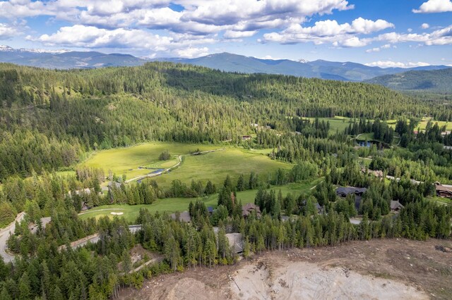 60 Suncrest Ln, Priest Lake, ID 83856 - photo 19
