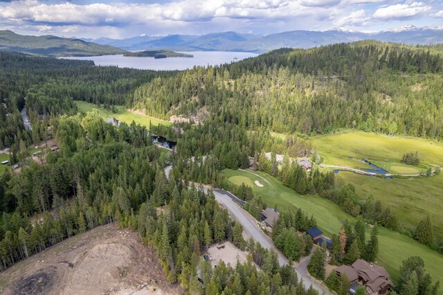 60 Suncrest Ln, Priest Lake, ID 83856 - photo 21
