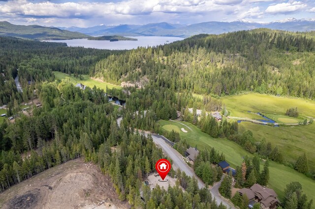 60 Suncrest Ln, Priest Lake, ID 83856 - photo 22