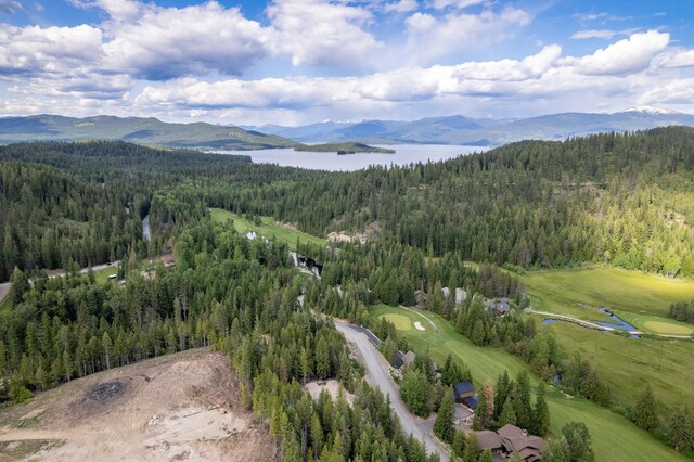 60 Suncrest Ln, Priest Lake, ID 83856 - photo 23