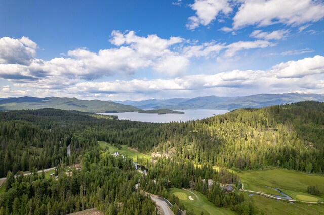 60 Suncrest Ln, Priest Lake, ID 83856 - photo 24