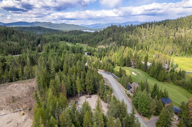 60 Suncrest Ln, Priest Lake, ID 83856 - photo 25