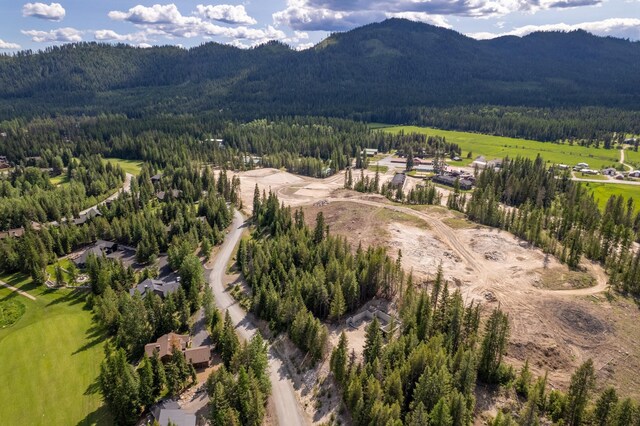 60 Suncrest Ln, Priest Lake, ID 83856 - photo 26