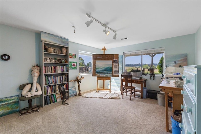 7920 S Parway Ln, Cheney, WA 99004 - office with carpet floors and track lighting