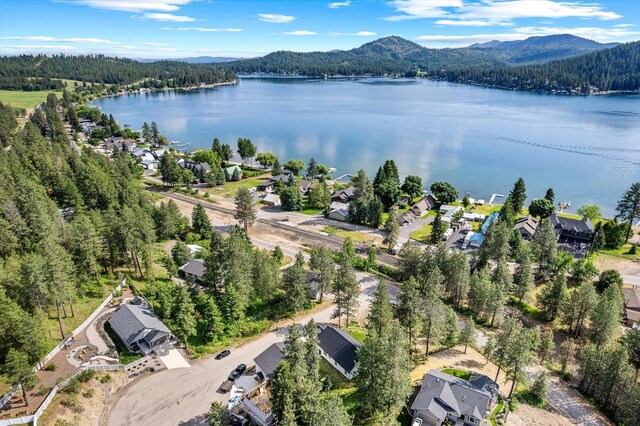 40083 Lake Terrace Ct, Loon Lake, WA 99148 - aerial view of property's location featuring a water and mountain view and a heavily wooded area