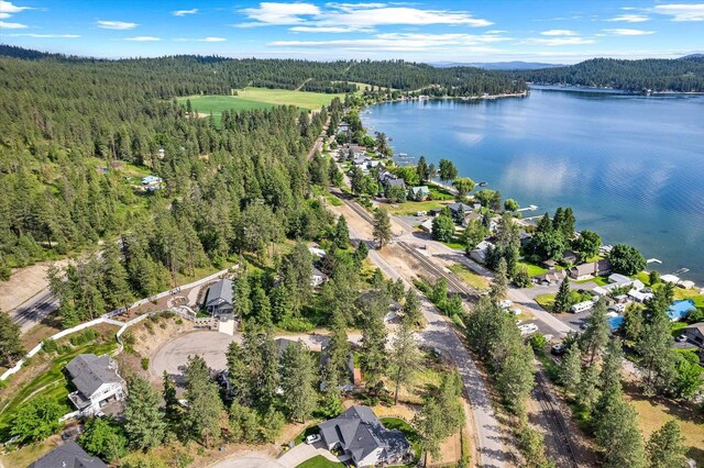 40083 Lake Terrace Ct, Loon Lake, WA 99148 - view of property location featuring a forest and a nearby body of water