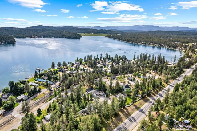 40083 Lake Terrace Ct, Loon Lake, WA 99148 - drone / aerial view of a water and mountain view and a heavily wooded area